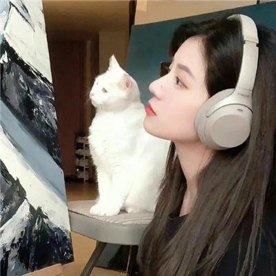 山寨小萌主